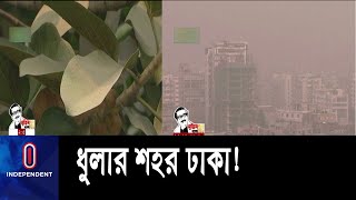 রাজধানীর গাছের পাতায় প্রতিদিন ৪৩৬ টন ধূলিকণা || Dhaka Air Pollution