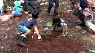 三井化学グループ世界自然遺産応援プロジェクト「小笠原編～オガグワ再生～」