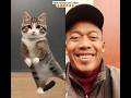 Viral Kucing Lucu Joget