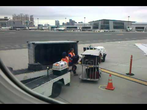 Pet transport via United Airlines (Continental) cargo in Boston Pet transport via United Airlines (Continental) cargo in Boston