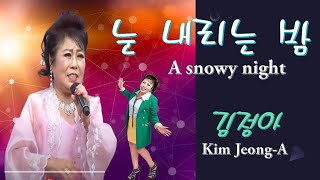 눈 내리는 밤 - 김정아