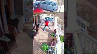 The dog chases delivery man for help when they arrive #satisfying #animals #dogs