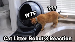 We Got Our Cats a $700 Litter Box LOL | Unboxing and Reaction to Litter Robot 3