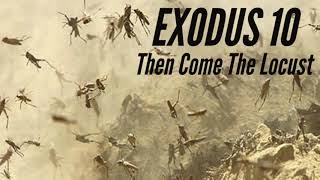 The Bible Channel: EXODUS 10/ THEN COME THE LOCUST/ Audio Bible