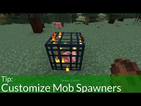 Tip: Easy Mob Spawner Customization in Minecraft Tip: Easy Mob Spawner Customization in Minecraft