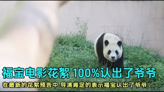 8.21日福宝大电影最新花絮，导演表示100%确信福宝认出了姜爷爷#panda #fubao #푸바오