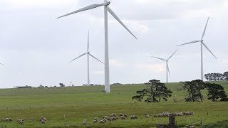 Wind farm operators taken to court over SA blackout