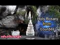 Holy Rosary from Lourdes || English Rosary || 13.11.2024