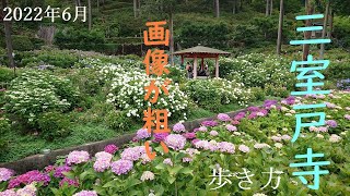 【三室戸寺】京都府宇治市　2022年6月　あじさいで有名な三室戸寺のあじさい園の様子をご覧ください