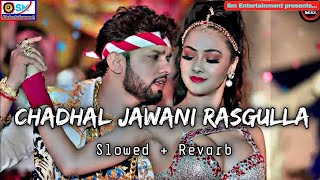 chadal jawani rasgulla neelkamal singh | lofi slowed + reverb | nilkamal new song ||Neel kamal singh