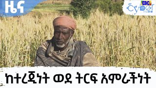 ከተረጂነት ወደ ትርፍ አምራችነት |