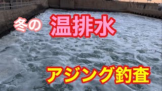 冬の温排水アジング釣査 知多半島 月下美人