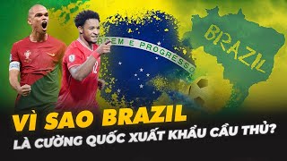 VÌ SAO BRAZIL LÀ CƯỜNG QUỐC XUẤT KHẨU CẦU THỦ?