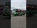 tnstc bus oldbus vintage nagercoil tirunelveli live insta baby madurai vlog vintage 1m