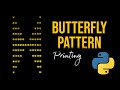 Day 171 : Butterfly Pattern Printing Using Python