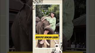 DEMI LIKE, GADIS INI NEKAT BERFOTO DENGAN GAJAH || #shorts