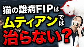 【知らないとヤバイ】猫のFIP治療薬「ムティアン」を徹底解説！