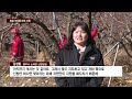 ccs종합뉴스 “태우지 마세요”…충주 농업 부산물 파쇄 지원