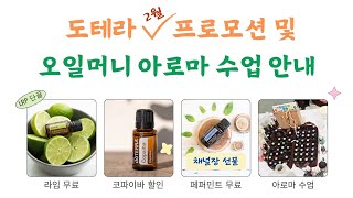 📢25년도 2월 도테라 프로모션 | 이번달 주인공 🍐라임, 🌿페퍼민트, 🪴코파이바