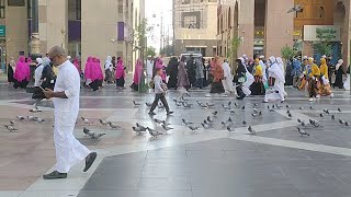 Suasana Pagi Hari di Pelataran Masjid Nabawi, Madinah