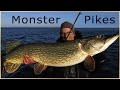 Fly Fishing For Big Pikes, Fliegenfischen auf große Hechte - Rügen