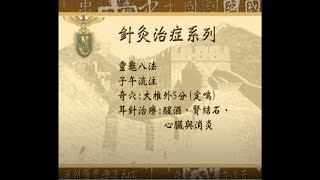 《针灸大成》 32 针灸治症系列 (5) 1080p 附PDF讲义 倪海厦