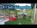 [Episod1229] berdebar datang ke kebun hari ni. apa khabar ayam² pak long..😬