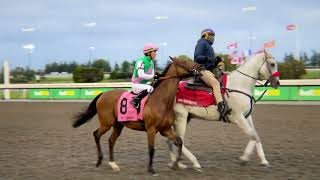 Gulfstream Park Replay Show | February 7, 2025