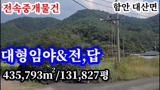 함안땅(임야,전,답) 435,793㎡(131,827평) 대산면소재  고도100~200m의 나즈막한 상수리나무주류의 12만6천평 가량의대형임야와 임야에 딸린 전답 약6300여평