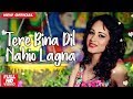 Sahi Jave Na Judai Sajna - Tere Bina Dil Nahio Lagna - Tiktok Famous Song | Pyari Pyari Do Akhiyan