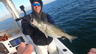 Late November Striped Bass Fishing! #stripedbassfishing #stripedbass #rockfishing