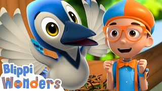 Blippi Learns How To Build A Birds Nest! - Blippi Wonders | Fun and Educational Cartoons For Kids