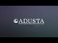 adusta penta shad 5 inch