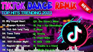 NEW TIKTOK DANCE REMIX - TOP HITS TRENDING - My Stupid Heart, Mapopo Syalala, Tinh tinh tang Tang...