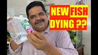 How to Make your Fish Stay Calm | Fish Dying too Soon in Aquarium | Mayur Dev Aquascaper