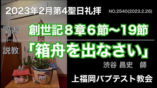 2023年2月26日聖日礼拝説教 創世記8:6〜19「箱舟を出なさい」