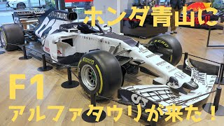 【アルファタウリ ホンダお披露目！】ホンダ ウエルカムプラザ青山が、モータースポーツ祭りだった！