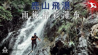 鹿山飛瀑｜大雨後精彩瀑布｜打卡聖地｜高Cp值輕鬆澗線｜大埔尾坑｜森靈研究所