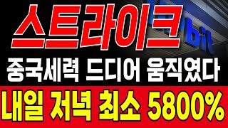 [스트라이크 코인 전망] 내일까지 무조건 5800% 오릅니다 역대급 빔 나옵니다 절대 매도 금지 #스트라이크 #스트라이크코인