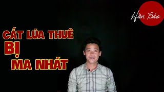 TẬP 406: CHUYỆN MA CÓ THẬT | CẮT LÚA THUÊ BỊ MA NHÁT | HÀN BẢO KỂ