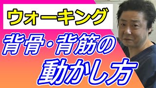 【真髄】ウォーキングで大事な背骨・背筋の動かし方。これで背骨の柔軟性が維持できる！もも裏歩きウォーキング協会 第78回