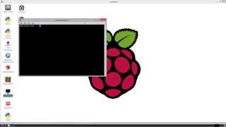 Raspberry Pi Shellcode
