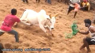 malaiyadipatty jallikattu-2018part 3 -9