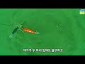 오천 대천권 쭈꾸미낚시 완벽 수중촬영 underwater camera short arm octopus fishing