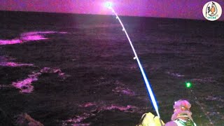 【北海道釣り】油断すると竿がぶっ飛ぶ…大物魚が潜む檜山方面の地磯で夜ブッコミ#根魚#fishing