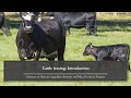 Agricultural Leasing: Cattle Leasing Introduction