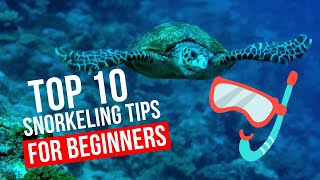10 Snorkeling Tips Every Beginner Needs To Know