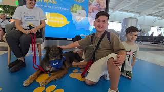 Preboarding Zen Mode Dogs at Larnaka Airport