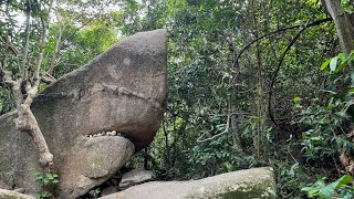 空心樹、鯊魚石、東山、大老山、觀音山村～～5星級挑戰線