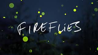 Stephan Moccio - Fireflies (Visualiser)